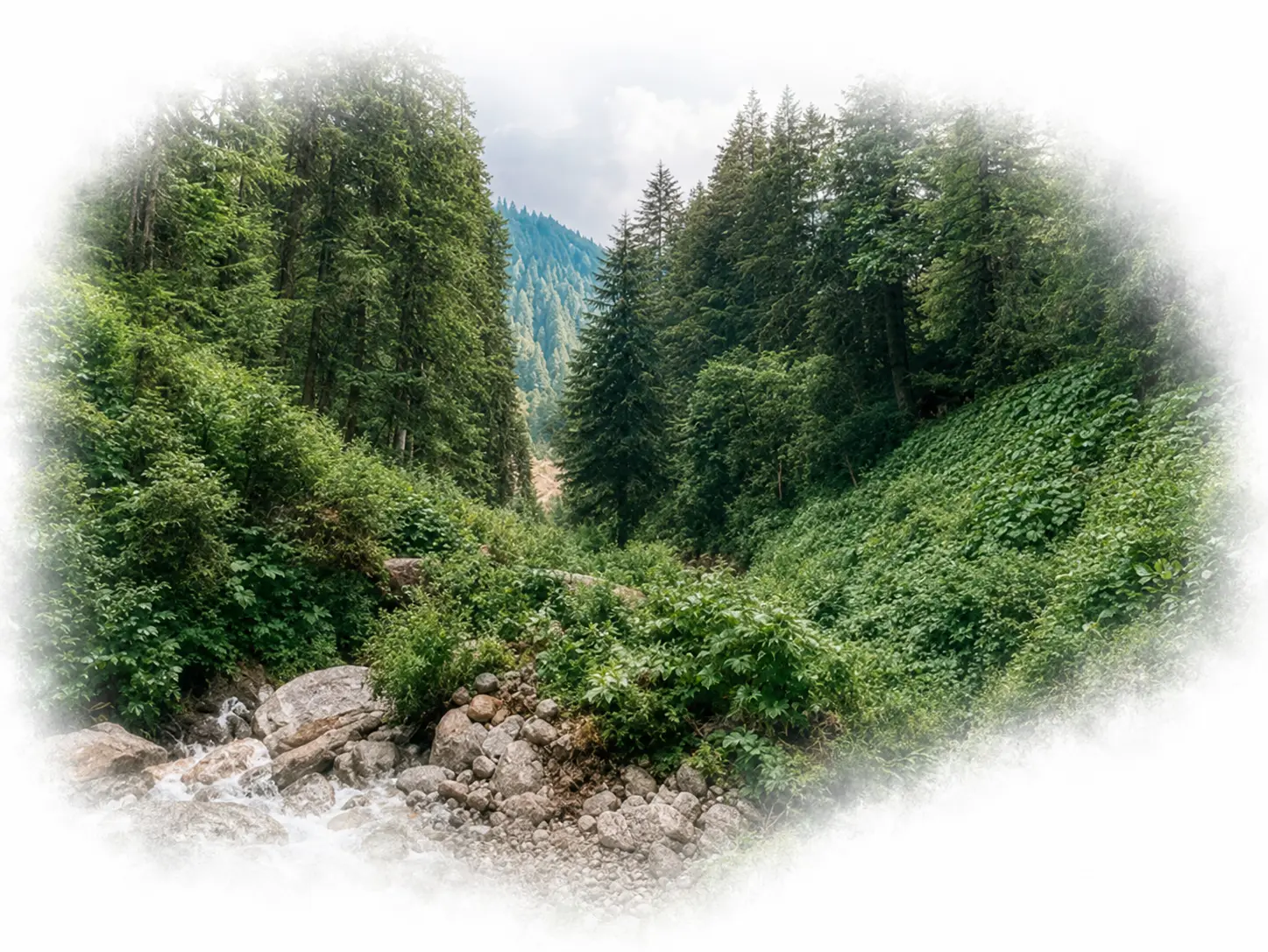 passage hall forest stream memorial.webp